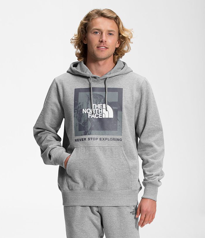 Sudadera Con Capucha The North Face Hombre Recycled Climb Graphic Gris - Peru 90136PFRL